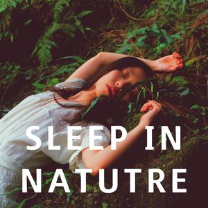 Sleep In Nature - Piano Music