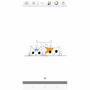 波斯猫