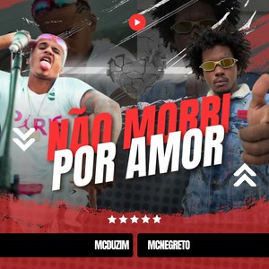 Não Morri Por Amor