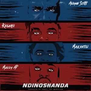 NDINOSHANDA (feat. Allyne Scott, Mazhetsi & Mally AP)