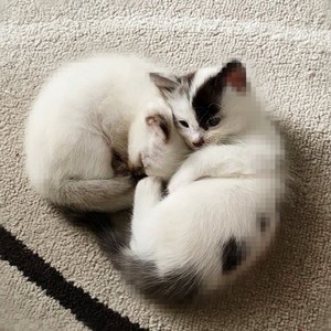 u'll be my girl^+ (slowed + reverb)