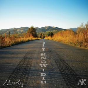 I Know I Did (feat. Dwight Hamlin)