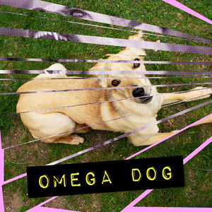 Omega Dog