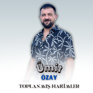 Toplanmış Hakimler