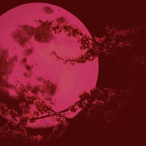 What's The Point? (Explicit)