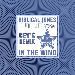 In The Wind (CEV's Remix)
