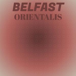 Belfast Orientalis