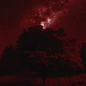 我们相信与等待的一切