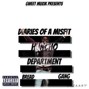 Diaries Of A Misfit (Explicit)