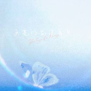 天亮以前说再见 (伤感女生版)