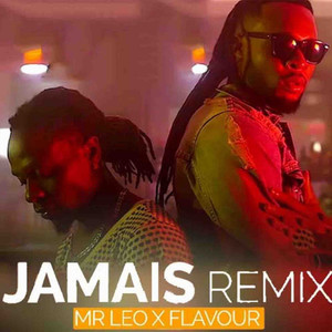 Jamais Jamais (Remix)