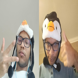 Penguin (Explicit)