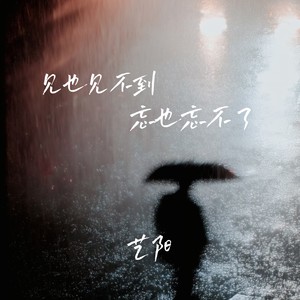 见也见不到忘也忘不了