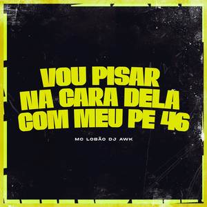 VOU PISAR NA CARA DELA COM MEU PÉ 46 (Explicit)