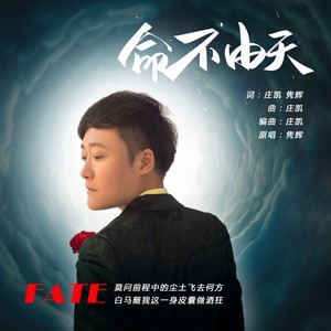 命不由天 (伴奏)