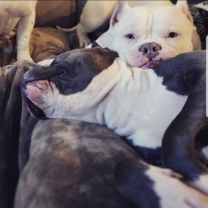 Dont Wait For Tomorrow