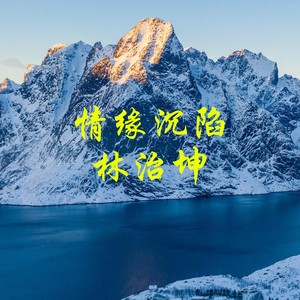 情缘沉陷