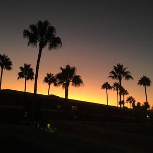 - Seal Up (Explicit)