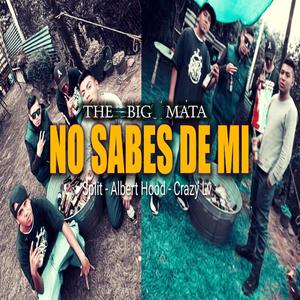 No sabes de mi (feat. Split, Albert Hood & Crazy Lv) [Explicit]