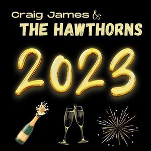 I Hate (Self-Destruct) (Acoustic|Explicit)