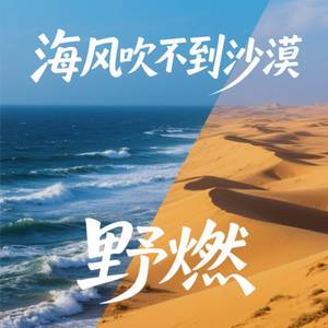 海风吹不到沙漠