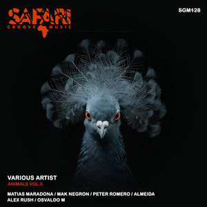 Not To Bad (Original Mix)