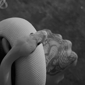 Make it count (feat. Babii Ahpe) (Explicit)