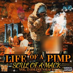 Life Of A ****, Soul Of A Mack (Vol.2 Goldie's Back) [Explicit]