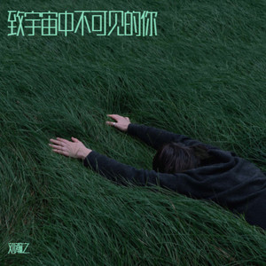 致宇宙中不可见的你 (Demo)