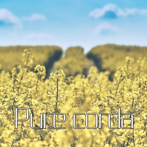 조용히 안아줄게 (I'll hold you quietly)