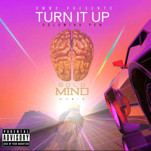 Turn It Up (Explicit)