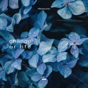 change ur life (AVIS Remix)