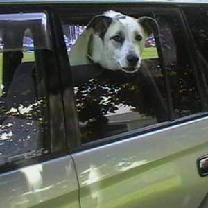 ode to jack (feat. tyla)