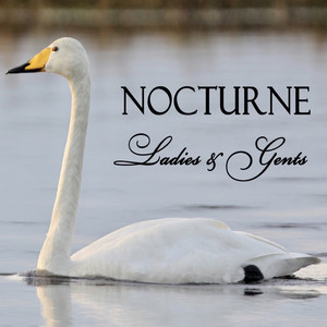 Nocturne