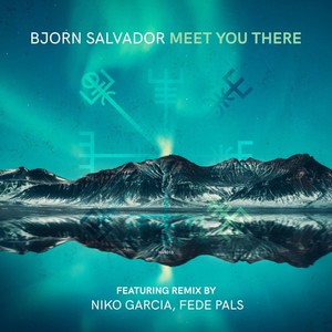 Meet You There (Niko Garcia & Fede Pals Remix)