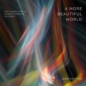 A More Beautiful World (feat. Aubrey Marcus, Charles Eisenstein & Zach Bush)
