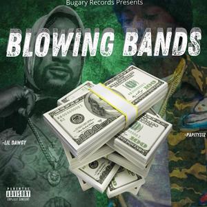 Blowing Bands (feat. Lil Dawgy) [Explicit]