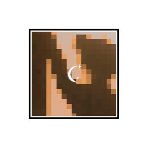 Moon(feat. 24k milli) (Explicit)