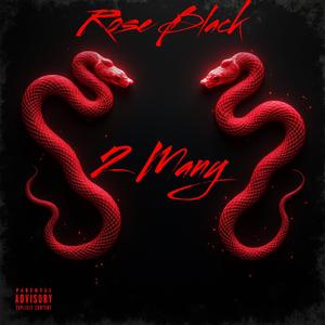 2 Many (feat. Big jeezy) (Explicit)