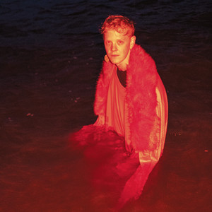 Atlanta Airport Medium Raw Dog