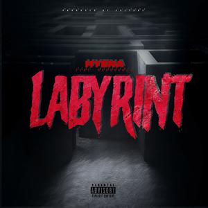 Labyrint (feat. SG Birdy Rado) (Explicit)