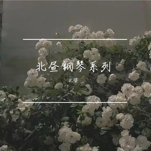 愿与愁 (钢琴纯享版)封面