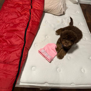 Angry Bear (feat. Nobody Beats22)