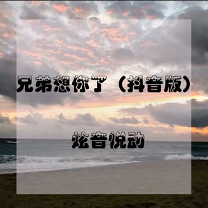 兄弟想你了