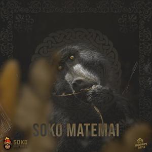 Soko Matemai