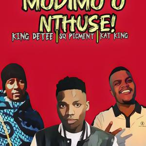Modimo O Nthuse 2.0 (feat. King Detee & Kat King)