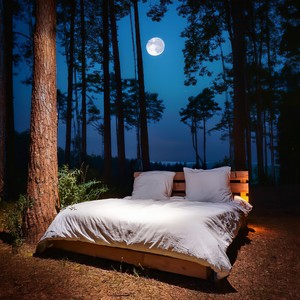 Slumber Sinks Through Twilight's Mirror