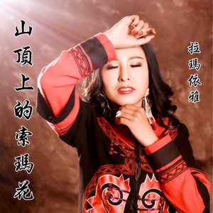 山顶上的索玛花