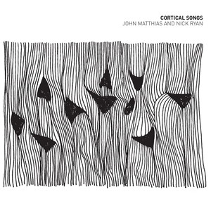 Cortical Songs (0.2 – 20,000%)