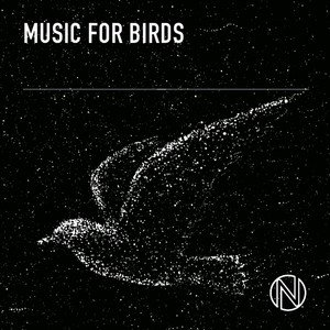 Music for Birds